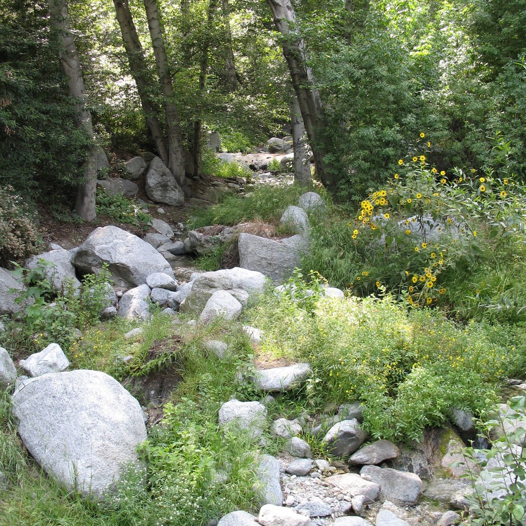 Monrovia Canyon Park 2